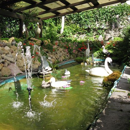 Albergo Miravalle Auronzo di Cadore Ngoại thất bức ảnh